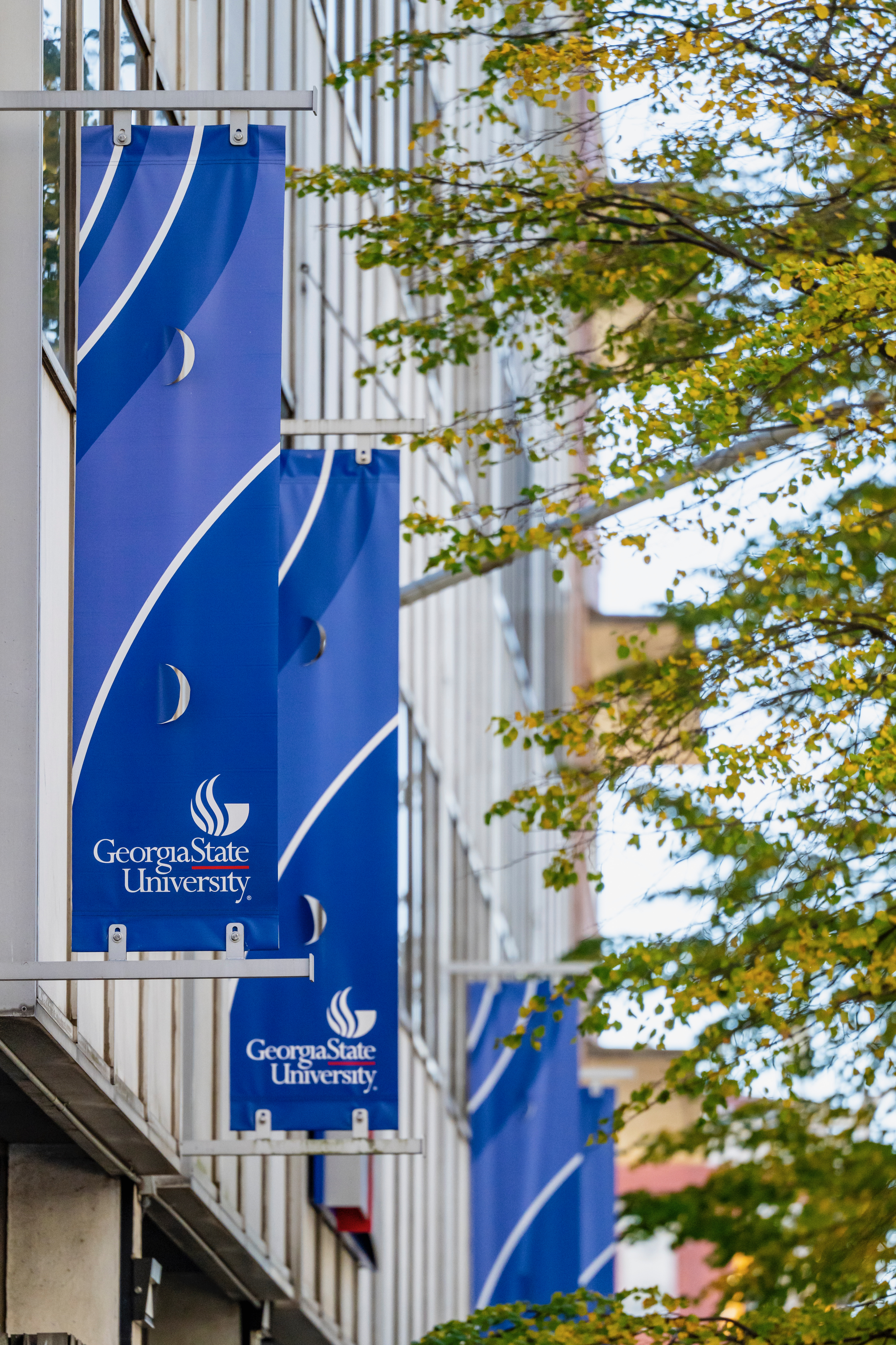 A row of blue Georgia State University banners hanging along a campus building, framed by trees in fall color